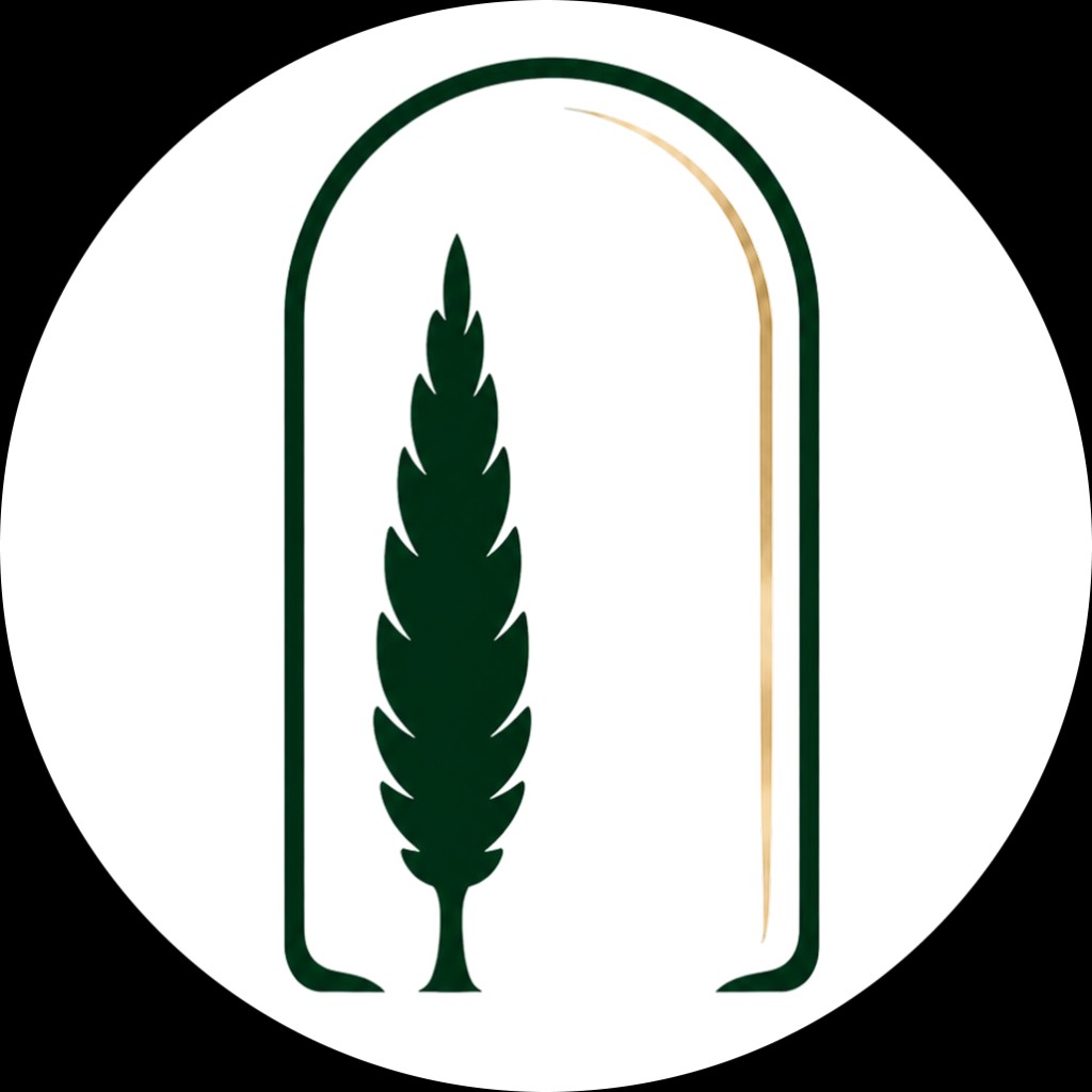 سرمایه بازار